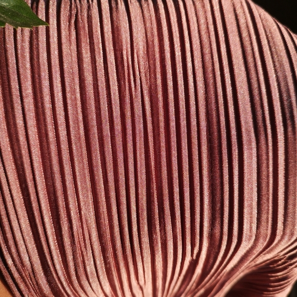 Culottes never actually worn - Picture 2 of 2